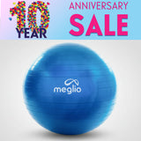 Anti-Burst Gym Ball (NEW)