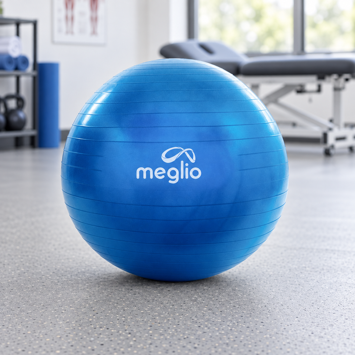 Anti-Burst Gym Ball (NEW)
